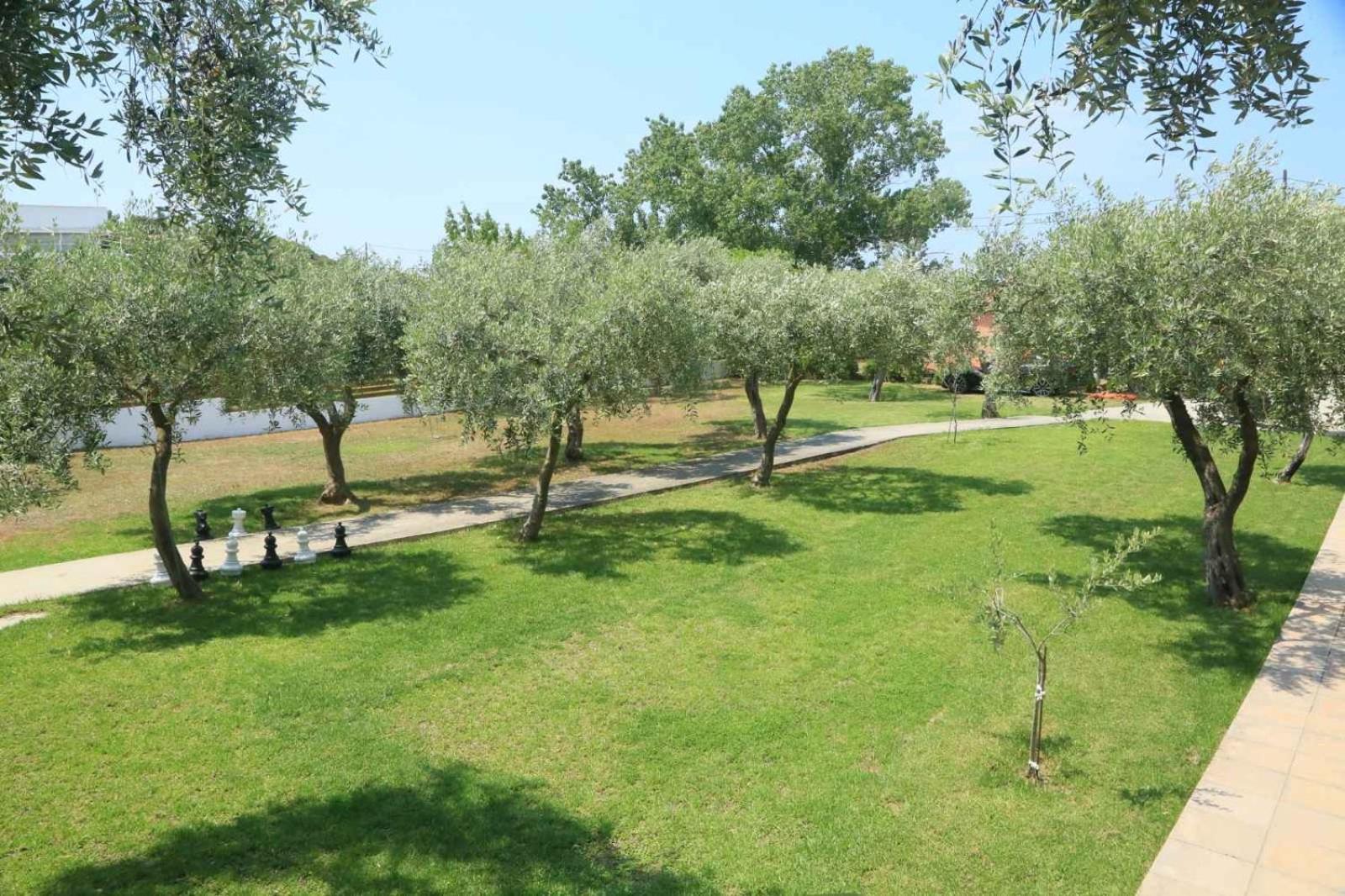 Apartament Sissy's San Antonio Thassos Potos